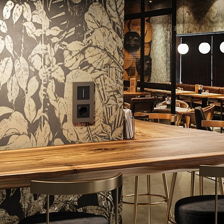 Рамка на 2 поста Slab (бронза матовый) W0022963 - фото