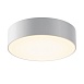Потолочный светильник Outdoor Zon IP O431CL-L30W3K - фото