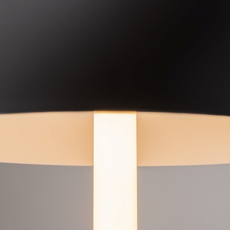 Настольный светильник Maytoni Ray Z012TL-L8B3K - фото