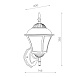Светильник уличный настенный ST-Luce Бронза/Бронза, Прозрачный E27 1*60W SL082.201.01 - фото