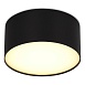 Светильник потолочный Черный LED 1*12W 3000K 1 080Lm Ra>85 120° IP20 D120xH55 185-265V ST606.432.12 - фото