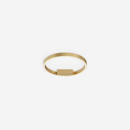 Потолочный светильник Maytoni Rim MOD058CL-L25BSK - фото