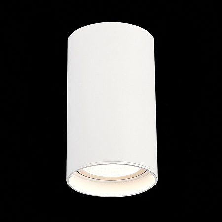 Светильник потолочный Белый LED 1*20W 3000K 1 600Lm Ra>90 60° IP44 D95xH150 220-265V ST157.532.20 - фото