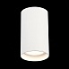 Светильник потолочный Белый LED 1*20W 3000K 1 600Lm Ra>90 60° IP44 D95xH150 220-265V ST157.532.20 - фото