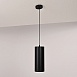 Подвесной Светильник Vexa Black H30 Imperiumloft 314093-22 - фото