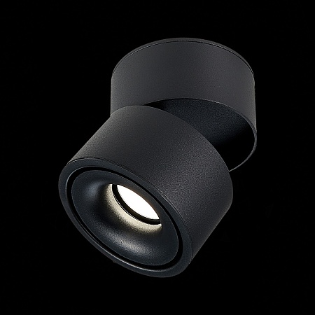 Светильник потолочный Черный LED 1*12W 3000K 1 000Lm Ra>90 36° IP20 D100xH105 170-240VV ST652.432.12 - фото
