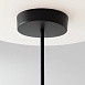 Подвесной светильник Maytoni MOD428PL-L20BK - фото