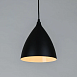 Подвесной светильник Arte Lamp LARK A7075SP-1BK - фото