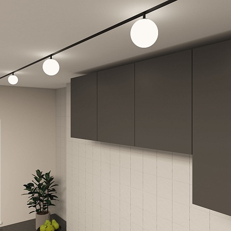 Светильник на шине Denkirs SMART MOON DK8050-BK - фото