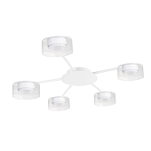 Потолочная люстра Arte Lamp ALIUS A8042PL-5WH