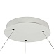 Подвесной светильник Maytoni Nola MOD877PL-L60W - фото