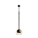 Подвесной светильник Maytoni Ros MOD227PL-01B1 - фото