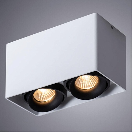 Точечный накладной светильник Arte Lamp PICTOR A5654PL-2WH - фото