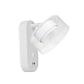 Спот Arte Lamp ALIUS A8045AP-1WH - фото