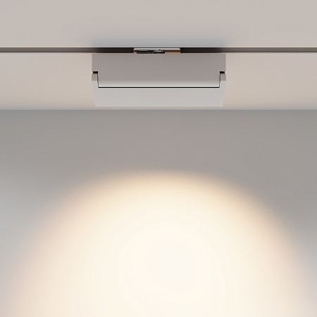 Трековый светильник Technical TR223-1-12WCCT-W-W - фото