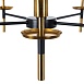 Подвесная люстра Arte Lamp RICCARDO A4075LM-5BK - фото