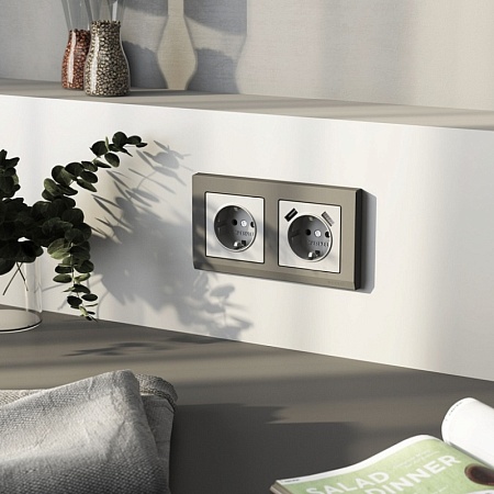 Накладка для розетки USB  (серебряный матовый) W1179565 - фото