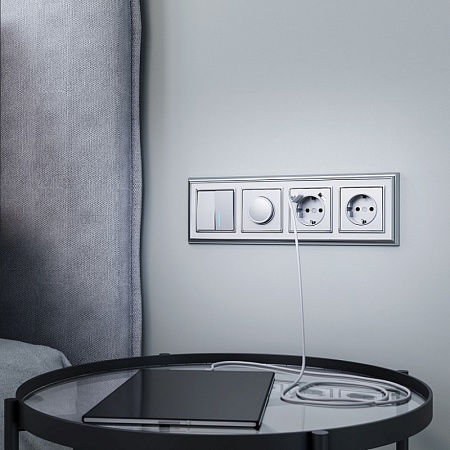 Диммер серебряный WL06-DM600 - фото