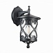 Светильник уличный настенный ST-Luce Черный/Черный, Прозрачный E27 1*60W SL085.411.01 - фото