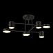 Светильник потолочный Черный/Черный LED 6*7W 4000K SLE201042-06 - фото