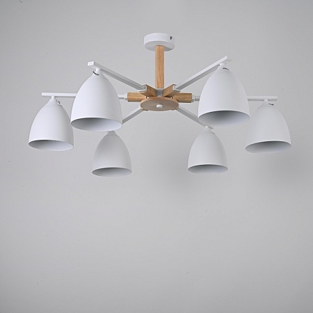 Потолочная Люстра Noa 6 White Imperiumloft Imperiumloft 183469-26 - фото