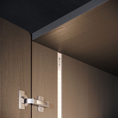 Выключатель с микроволновым датчиком движения 12/24V 60/120W 95002/01 Elektrostandard - фото