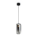 Подвесной светильник Freya Idol FR6134PL-L4SM - фото