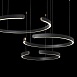 10025/3 Black Подвесной светильник LOFT IT Ring - фото