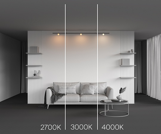 Трековый светильник Technical Luna TR185-1-3W3K-B - фото