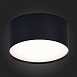 Светильник потолочный Черный LED 1*12W 4000K 1 080Lm Ra>90 120° IP20 D120xH55 185-265V ST606.442.12 - фото