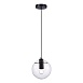 Подвес ST-Luce Черный/Прозрачный E27 1*60W SL1056.403.01 - фото