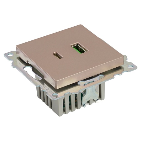 Розетка 2-местная USB + type C (механизм), STEKKER GLS10-7116-02, 250B, 3A, max 20W, серия Катрин, шампань - фото