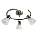 Спот Arte Lamp PARRY A5062PL-3AB - фото