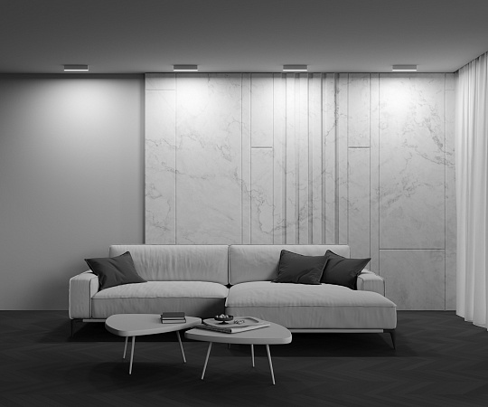 Потолочный светильник Technical C068CL-20W3-6K-W - фото