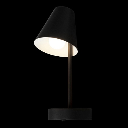 10216/1W Black Настенный светильник LOFT IT Shelf - фото