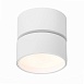 Светильник потолочный поворотный Белый LED 1*9W 4000K 720Lm Ra>90 120° IP20 D85xH87 170 ST651.542.09 - фото