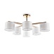Потолочный светильник Freya Pipe FR5386CL-06G - фото