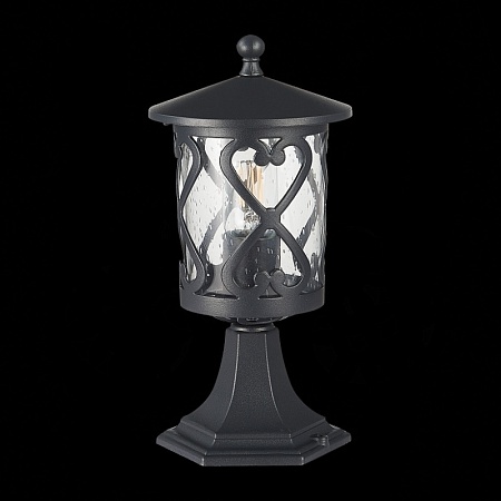 Светильник уличный наземный ST-Luce Черный/Черный, Прозрачный E27 1*60W SL085.405.01 - фото