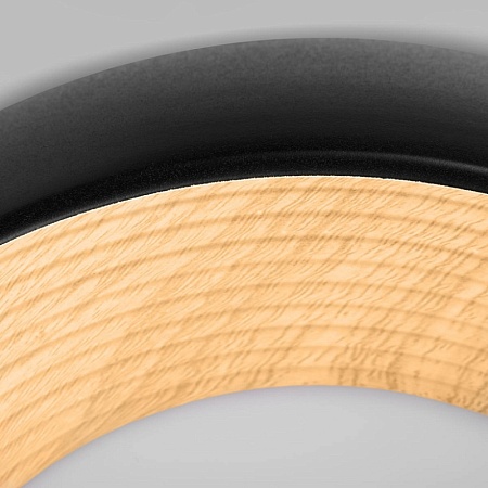 10255/350 Black Потолочный светильник LOFT IT Folk - фото