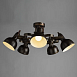 Потолочная люстра Arte Lamp MARTIN A5216PL-5BR - фото