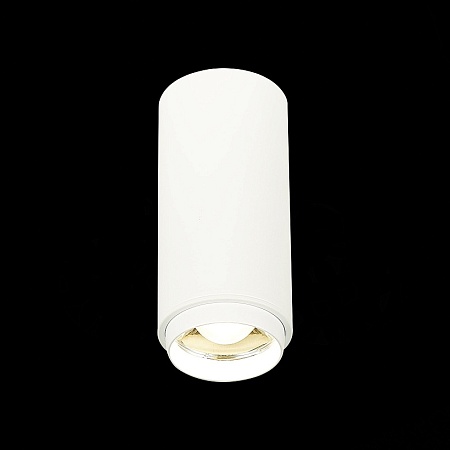 Светильник потолочный Zoom Белый LED 1*10W 4000K 1 000Lm Ra>80 15-60° IP20 D59xH130 170 ST600.542.10 - фото