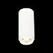 Светильник потолочный Zoom Белый LED 1*10W 4000K 1 000Lm Ra>80 15-60° IP20 D59xH130 170 ST600.542.10 - фото