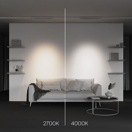 Трековый светильник Technical Points  TR195-3-20W4K-M-W - фото