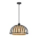 Подвесной светильник Arte Lamp WOODSTOCK A7071SP-1BK - фото