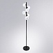 Напольный ARTE LAMP A2243PN-6BK - фото