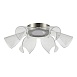 Светильник потолочный ST-Luce Никель/Прозрачный LED 1*20W 4000K SL6235.102.20 - фото