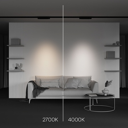 Трековый светильник Technical Points  TR195-3-10W2.7K-M-B - фото