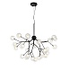 Светильник подвесной ST-Luce Черный/Прозрачный, Белый G4 LED 27*2W SL376.403.27 - фото
