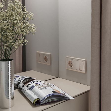 Розетка с заземлением и шторками (шампань рифленый) W1171110 - фото