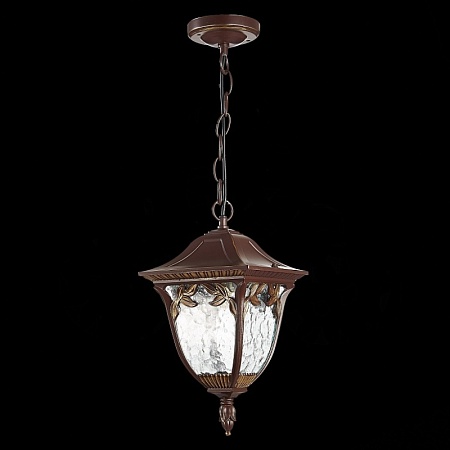 Светильник уличный подвесной ST-Luce Кофейный/Кофейный, Прозрачный E27 1*60W SL083.703.01 - фото